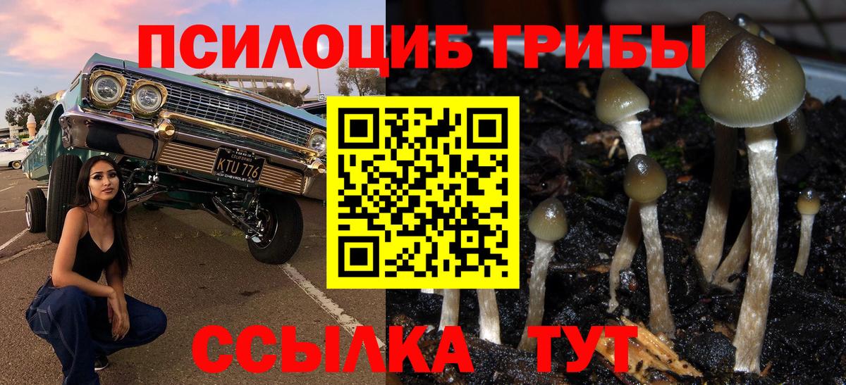 Галлюциногенные грибы GOLDEN TEACHER Урус-Мартан