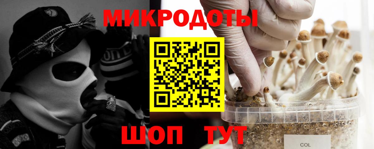 Псилоцибиновые грибы Magic Shrooms  Вход с VPN  Урус-Мартан 